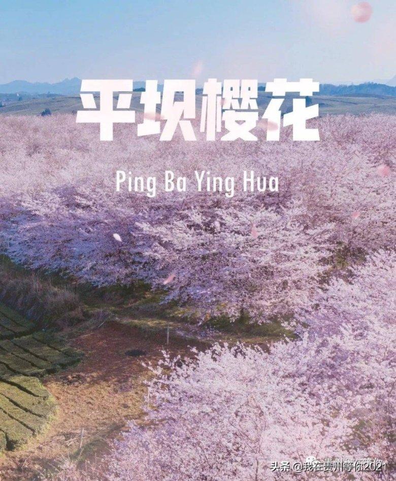 见缝射箭